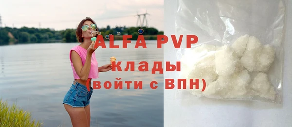 прущие грибы Арсеньев