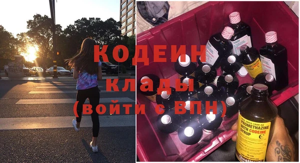 прущие грибы Арсеньев
