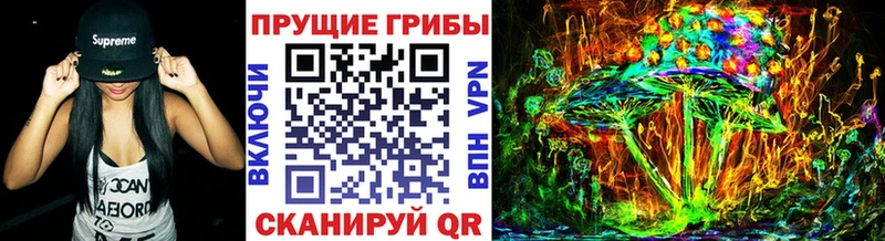Купить где  Агрыз  Псилоцибиновые грибы мицелий 
